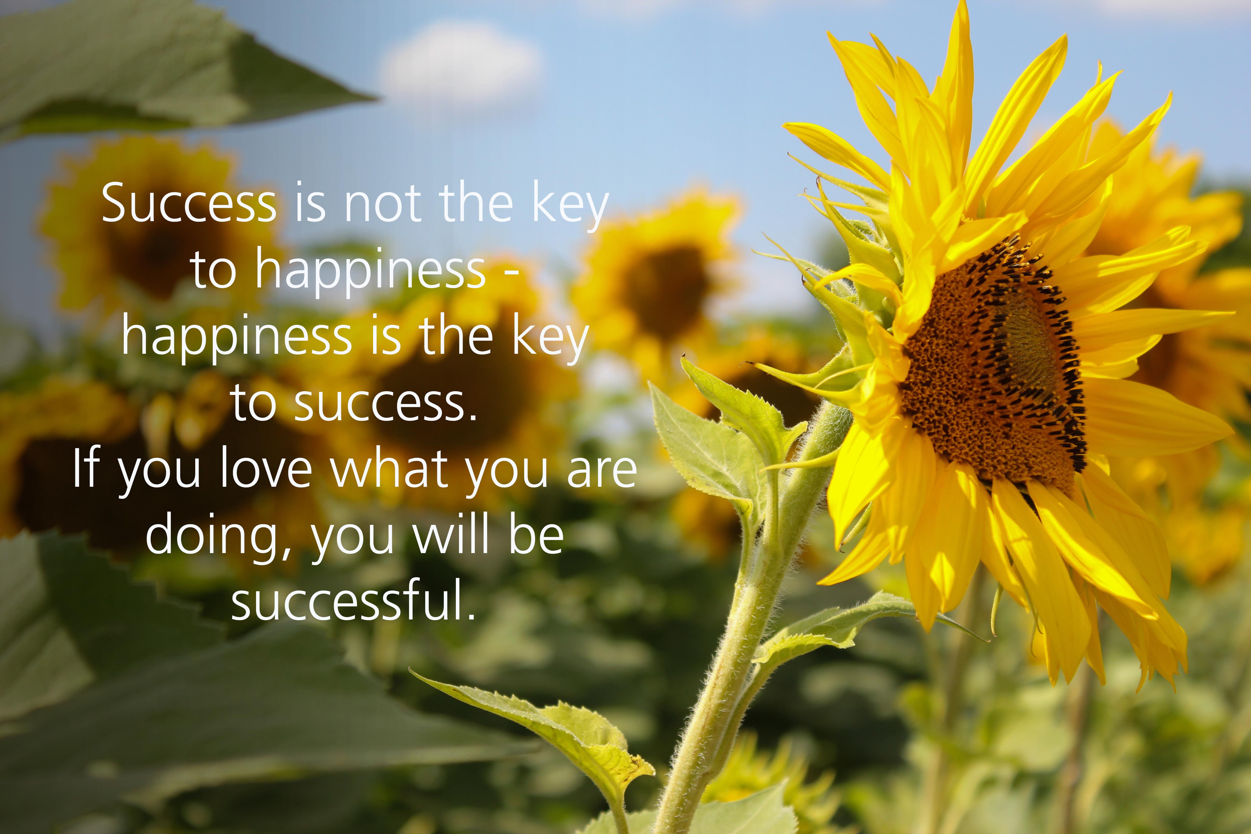 Epitome of Success